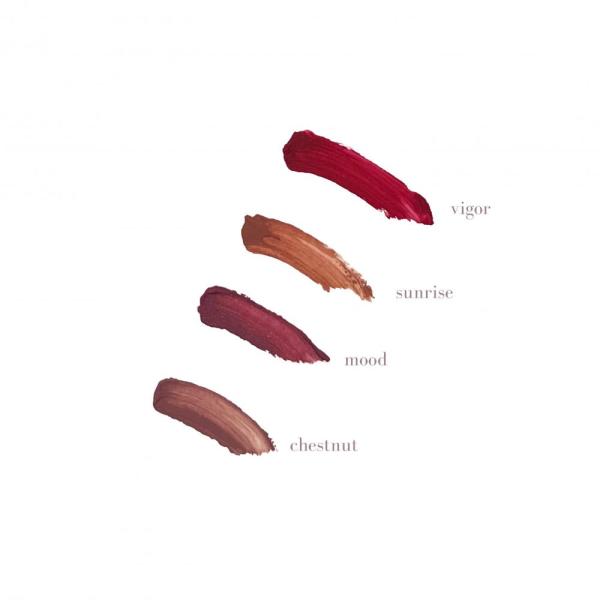 أحمر شفاه Mood