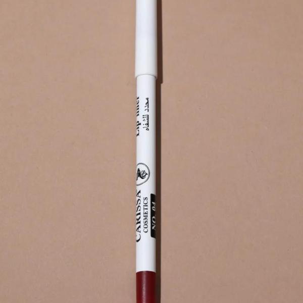 كاريسا محدد شفاه ٤