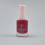 طلاء أظافر كاريسا 33