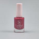 طلاء أظافر كاريسا 32